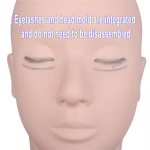 Four-layer Eyelash Model Head for Practicing Eyelash Grafting