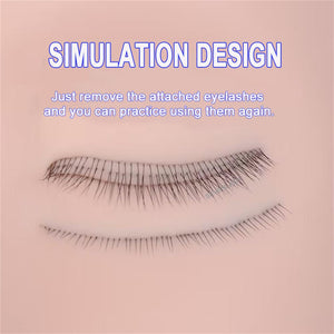 Four-layer Eyelash Model Head for Practicing Eyelash Grafting