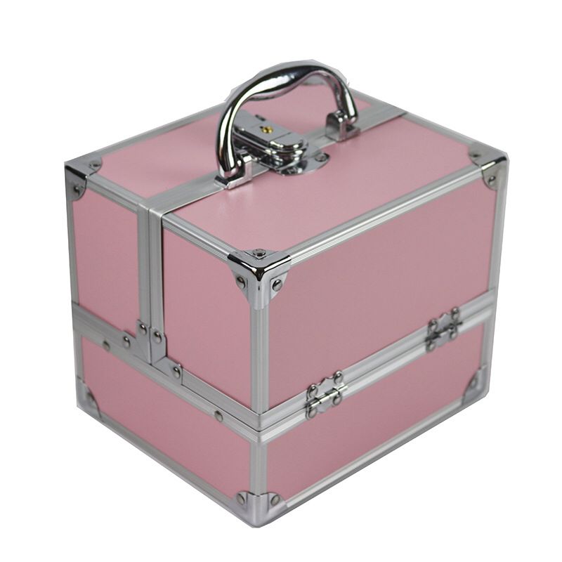 Deluxe Pink Eyelash Kit Suit Case