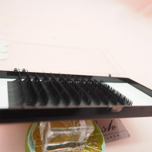 0.15mm Ellipse Flat Lashes 12 Rows