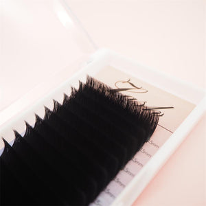 0.07mm Fast Fanning Lashes (16rows)